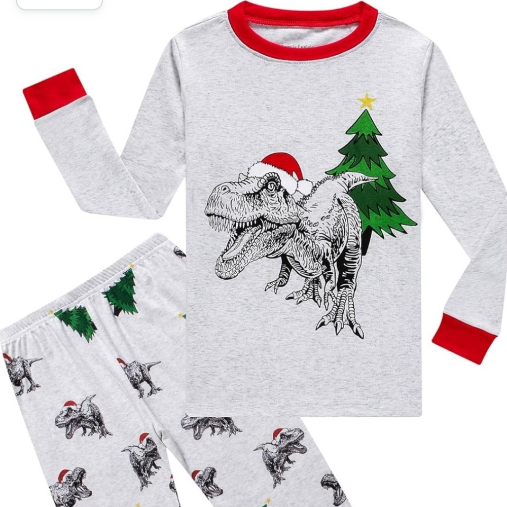 Kids Christmas Dinosaur PJ's Never Worn